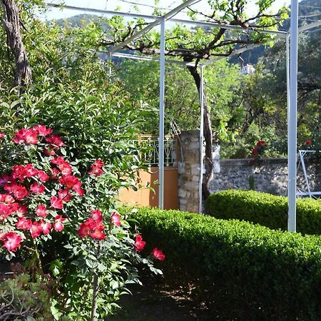 Art Flowers And Culture Мистрас Екстериор снимка